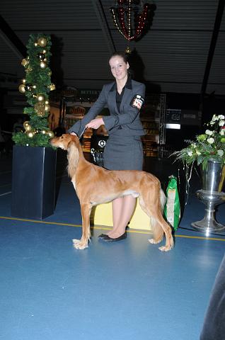 RES BIS.JPG